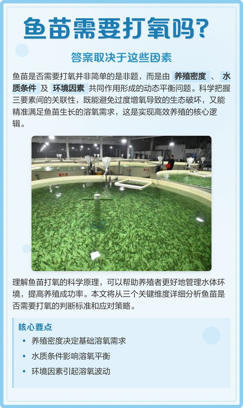 火龍魚需要打氧氣嗎