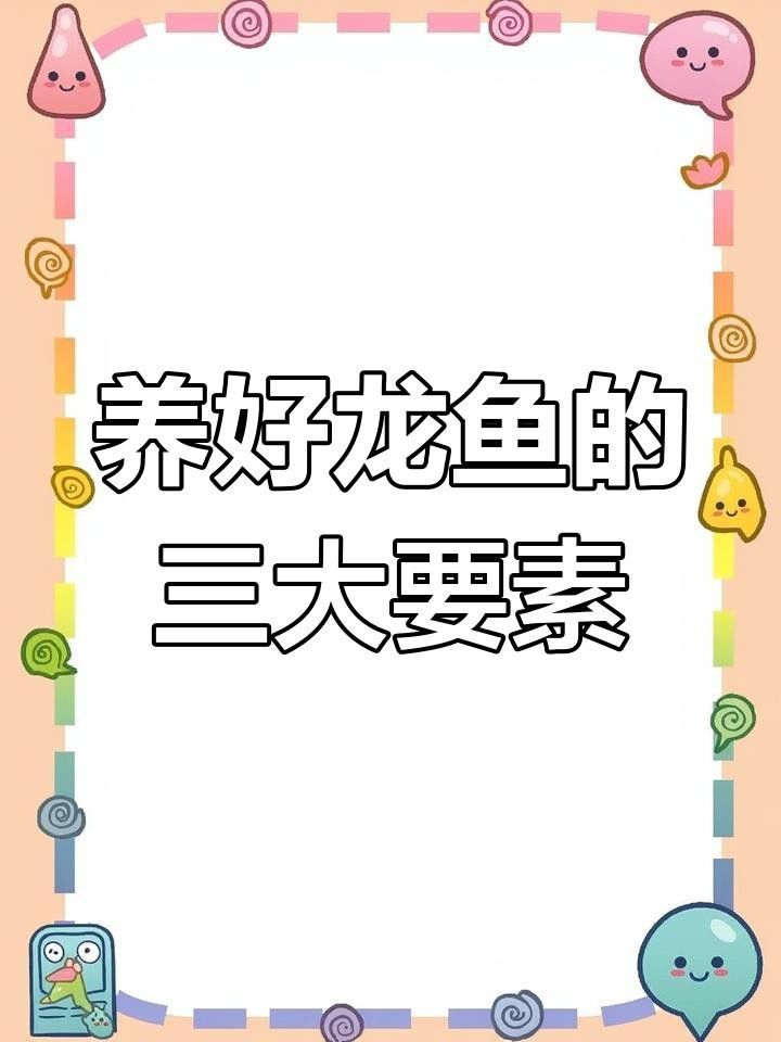 招財龍魚的最佳飼養環境