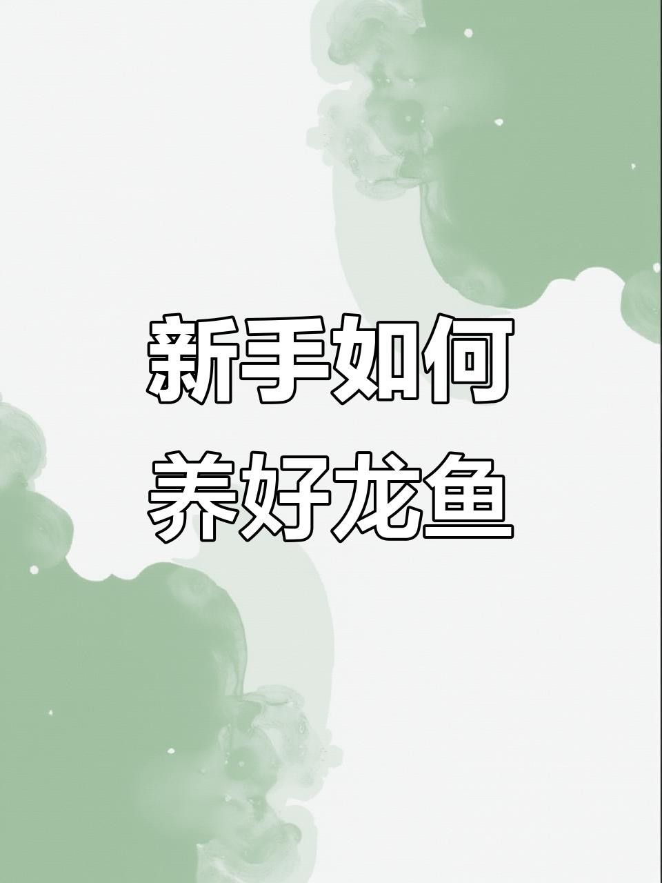 招財龍魚的最佳飼養環境