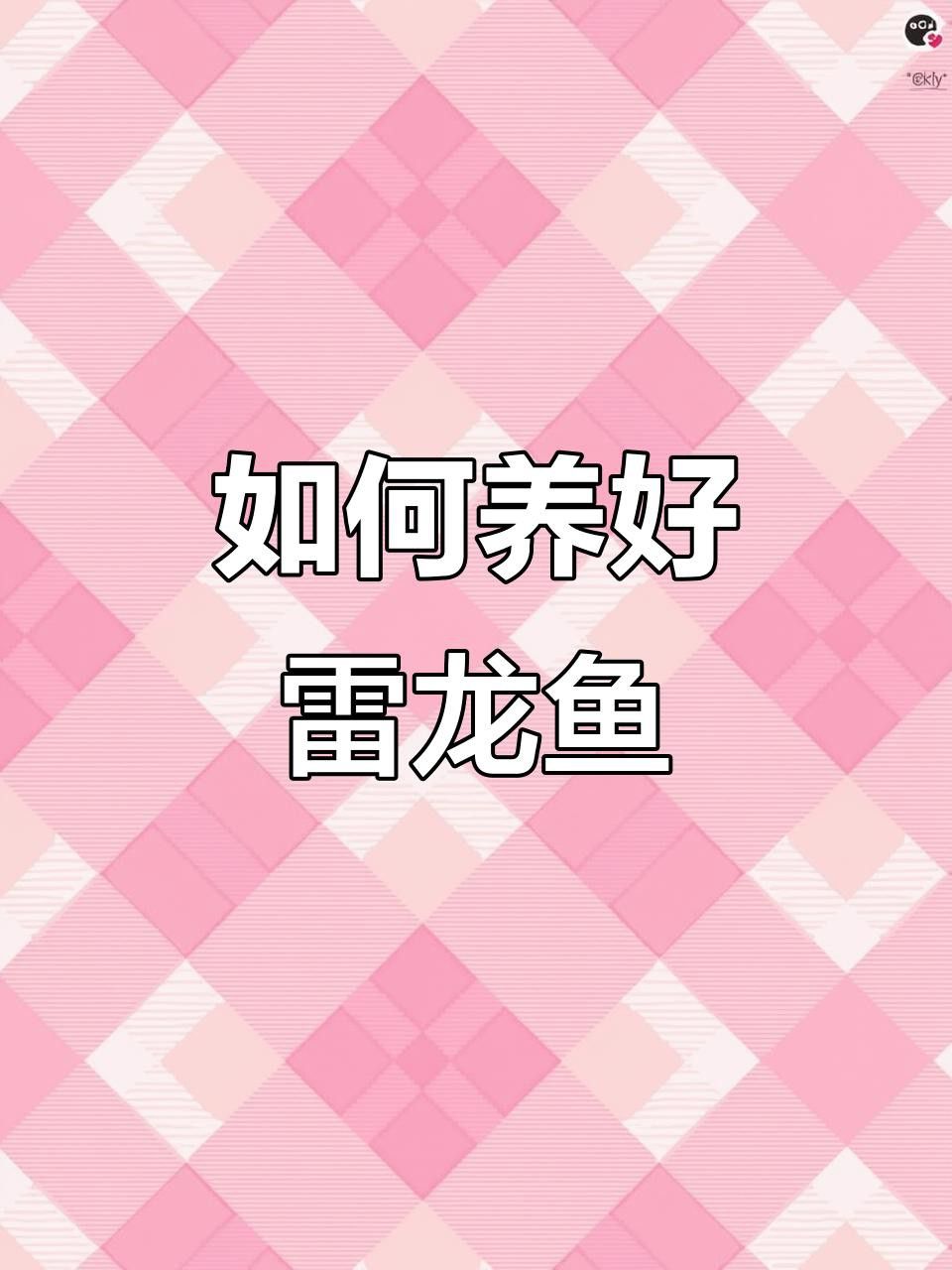 招財龍魚的最佳飼養環境