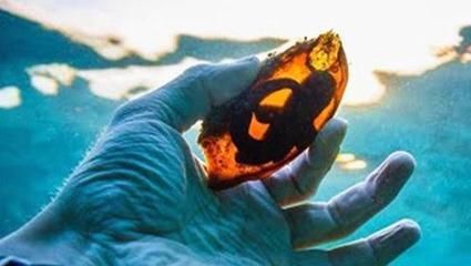 龍魚和虎魚一樣大能不能混養：龍魚和虎魚會打架嗎？為什么那么厲害？