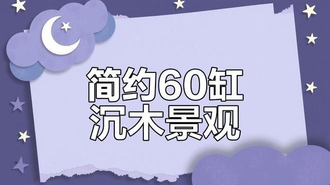 龍魚缸沉木造景圖片欣賞視頻