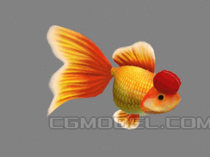 有沒有紅龍魚動態壁紙？