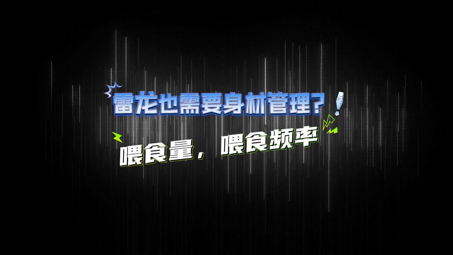 雷龍魚的最佳喂食頻率