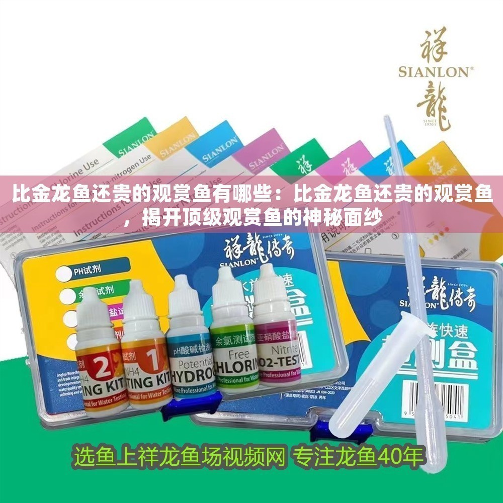 比金龍魚還貴的觀賞魚有哪些：比金龍魚還貴的觀賞魚，揭開頂級觀賞魚的神秘面紗