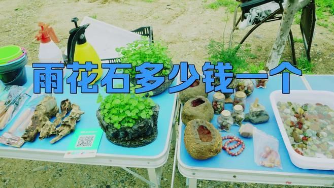 天然雨花石價格 龍魚百科 第1張 天然雨花石價格 天然雨花石價格 龍魚百科 第1張