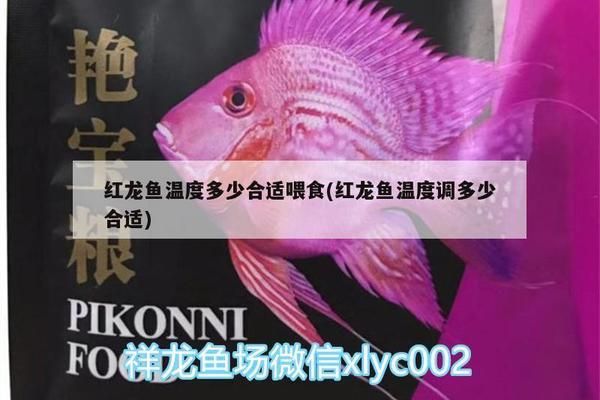 紅龍魚年齡和體長對照表圖片高清（紅龍魚年齡和體長對照表圖片高清）