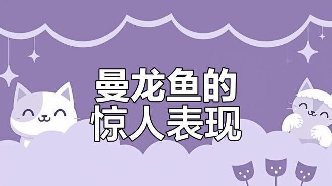 曼龍魚和孔雀魚