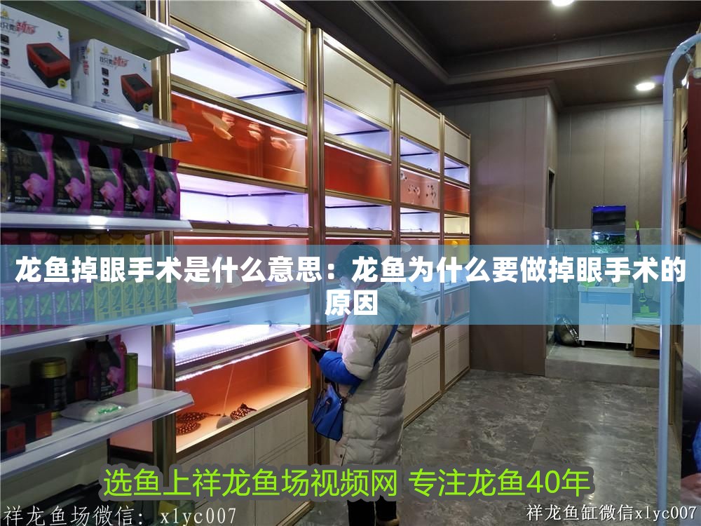 龍魚掉眼手術是什么意思：龍魚為什么要做掉眼手術的原因