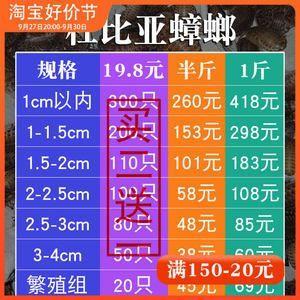 今年龍魚價格走勢圖最新（2024年龍魚價格一覽表）