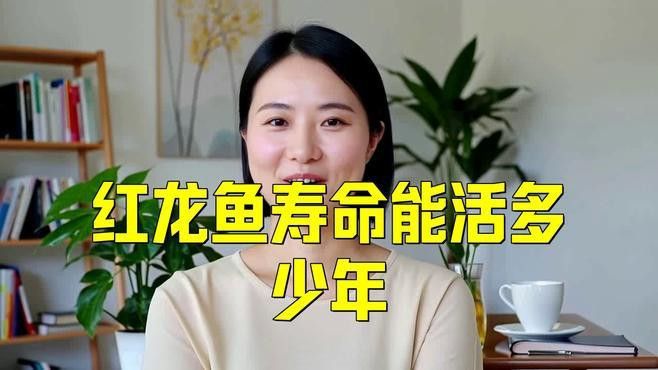 超血紅龍魚壽命有多長？