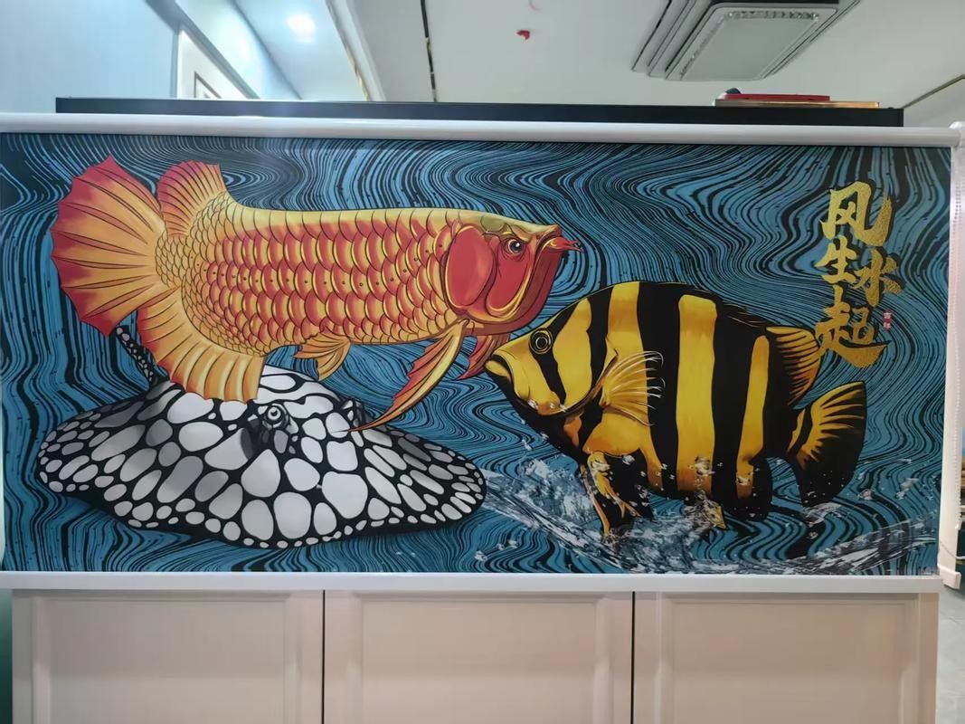 龍魚(yú)魚(yú)缸背景圖片大全超清圖