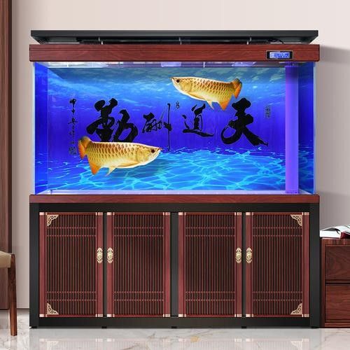 龍魚(yú)魚(yú)缸背景圖片大全超清圖