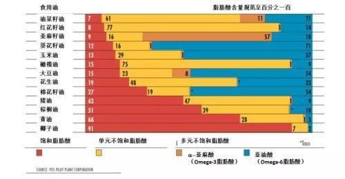 金龍魚廣告詞1：1：1分析