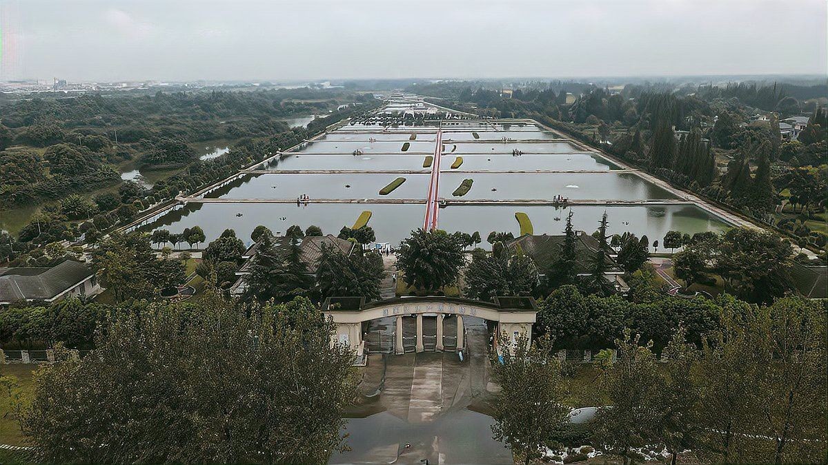 四川龍魚基地地址查詢