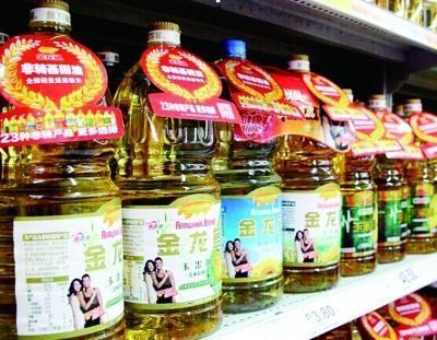 金龍魚一只多少錢，金龍魚價格走勢預(yù)測