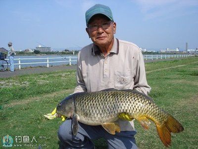 金龍魚(yú)的水溫多少度好釣魚(yú)：金龍魚(yú)養(yǎng)殖水溫多少合適