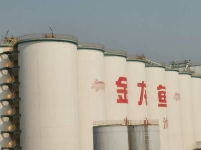 金龍魚安徽有生產地嗎（金龍魚在安徽有生產基地嗎？）