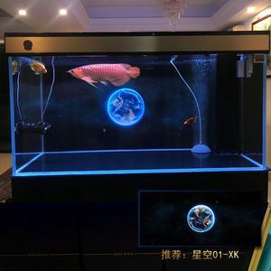龍魚缸背景圖黑色：龍魚缸背景圖黑色是一個常見的選擇