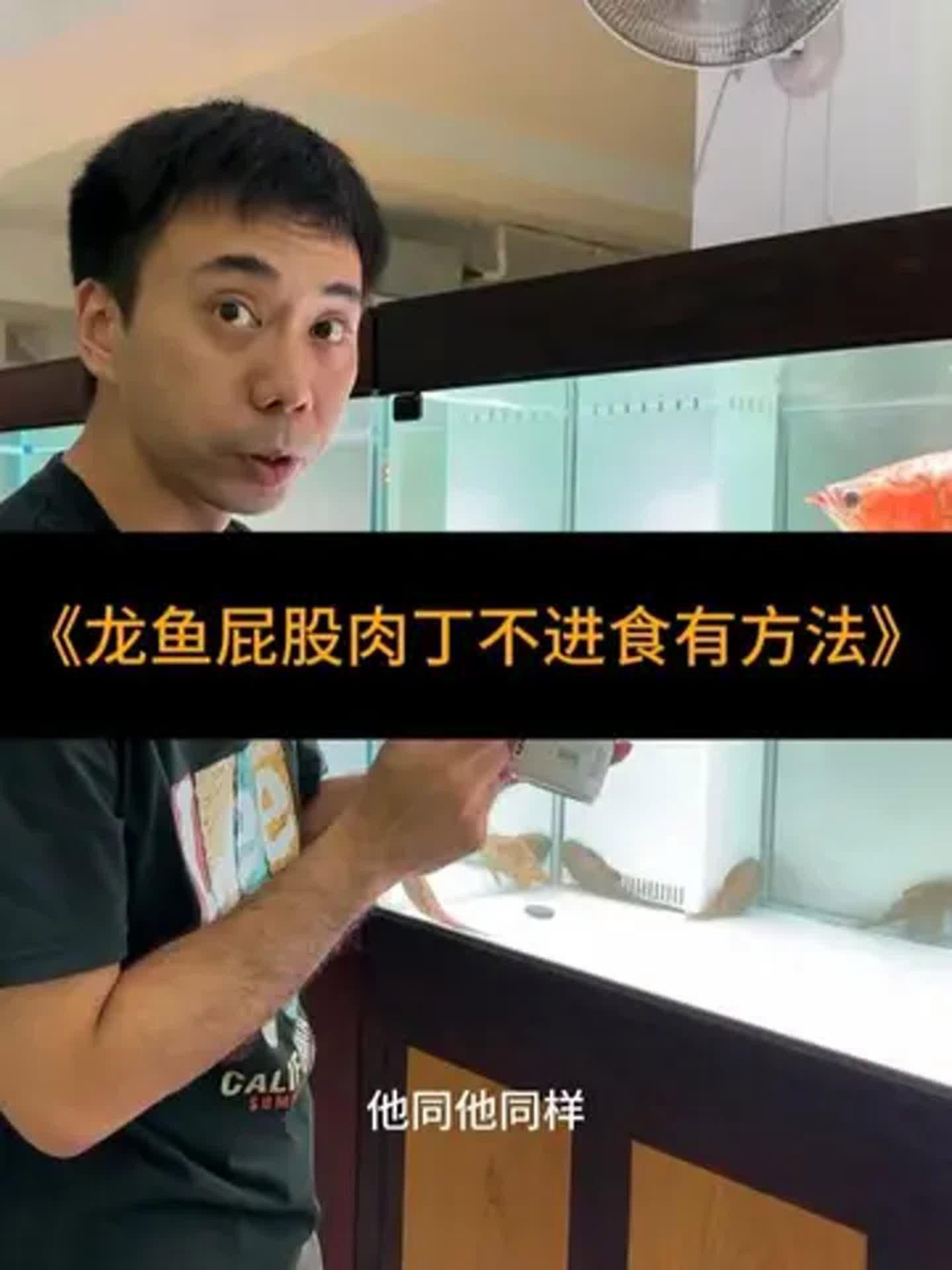 龍魚厭食期間需要換水嗎？