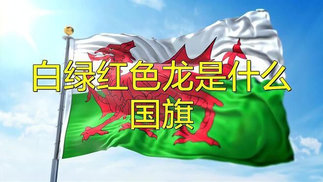 有哪些著名的紅龍血統？