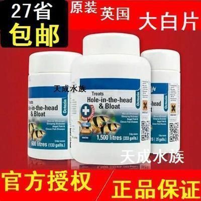 龍魚的飼養條件：龍魚腸炎可以使用大白片治療嗎
