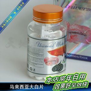 龍魚的飼養條件：龍魚腸炎可以使用大白片治療嗎