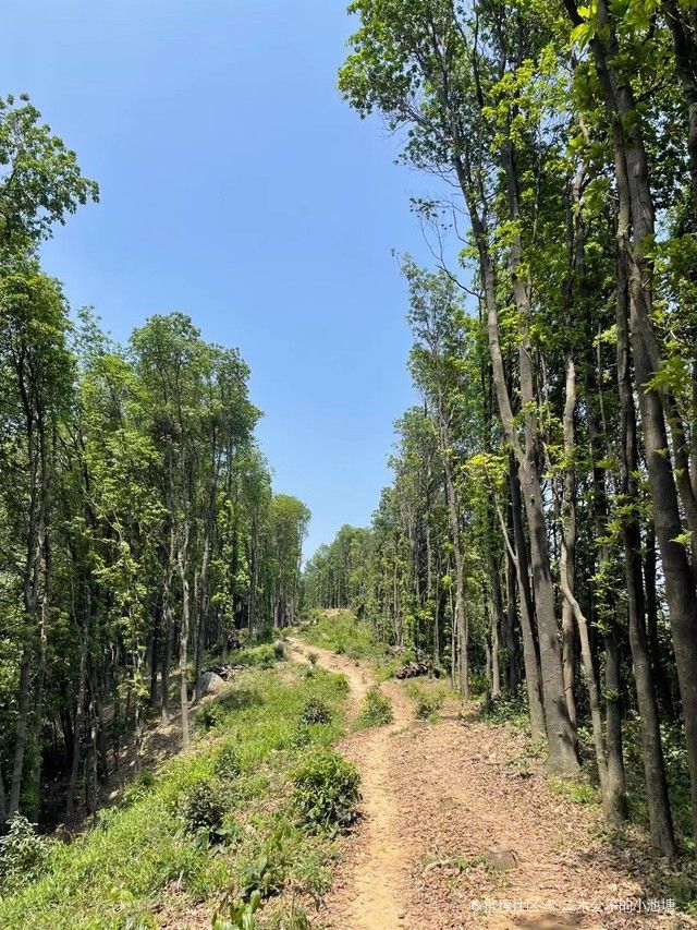廣州魚缸祥龍魚場地址