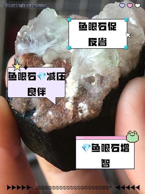 藍(lán)寶石魚咬魚最怕三個東西圖片