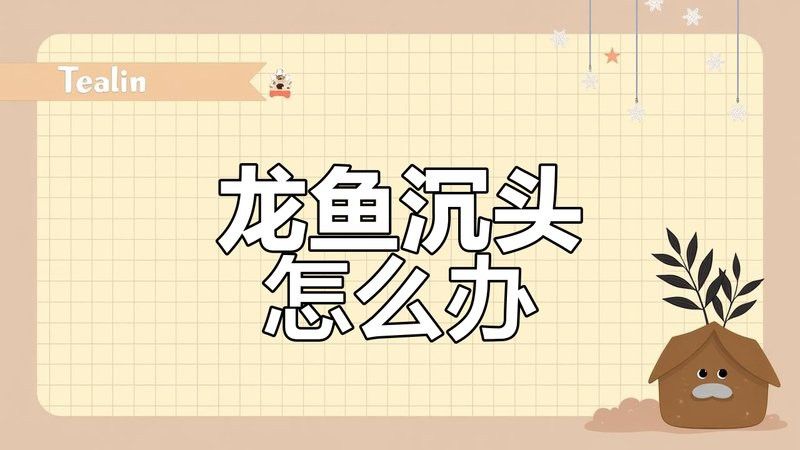 紅龍魚沉頭可以調理嗎