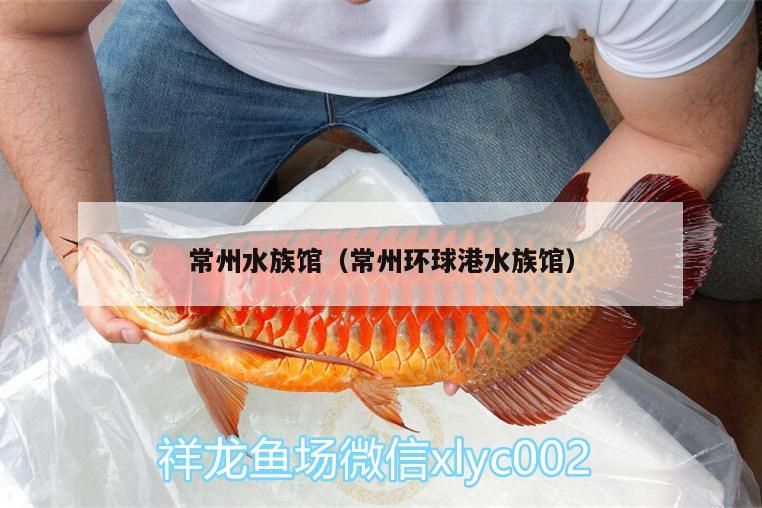 常州水族館（常州環球港水族館）