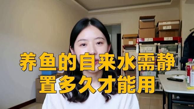 養龍魚自來水養幾天就可以用了