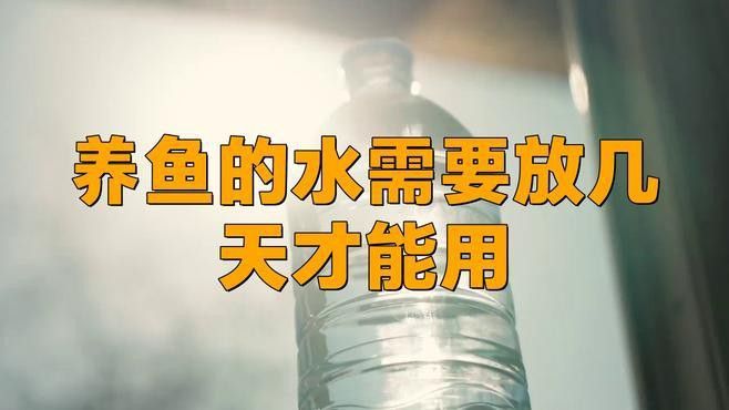 養龍魚自來水養幾天就可以用了