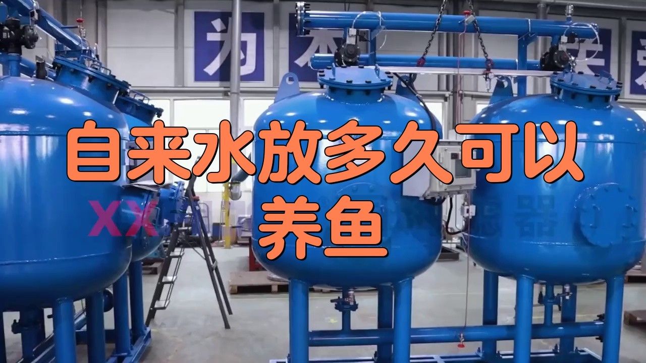 養龍魚自來水養幾天就可以用了