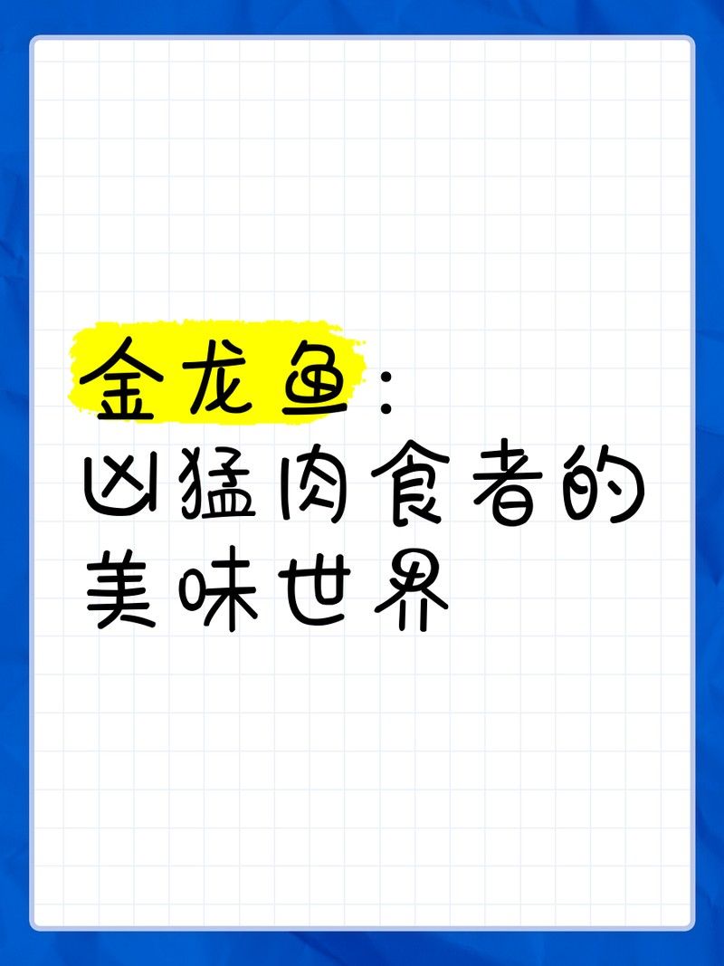 金龍魚吃小魚嗎？