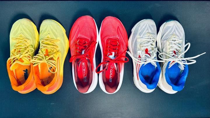 如何辨別過背龍魚的品種和品相？