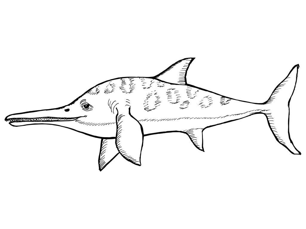 恐龍魚的圖片簡筆畫