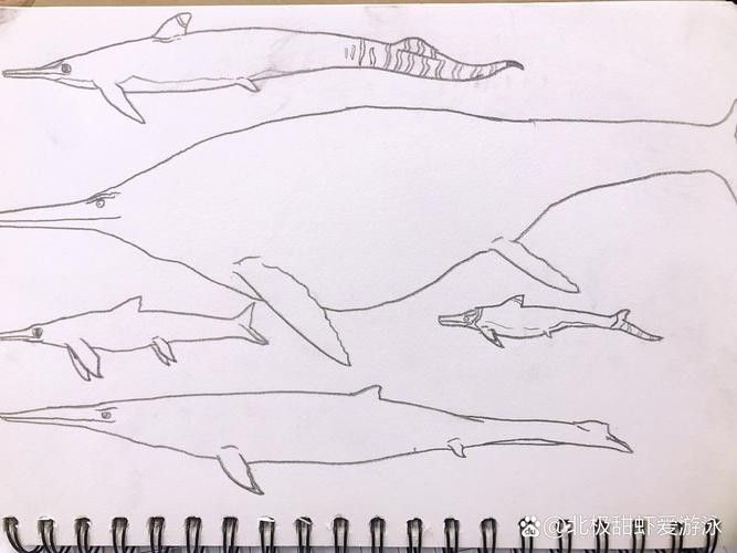 恐龍魚的圖片簡筆畫