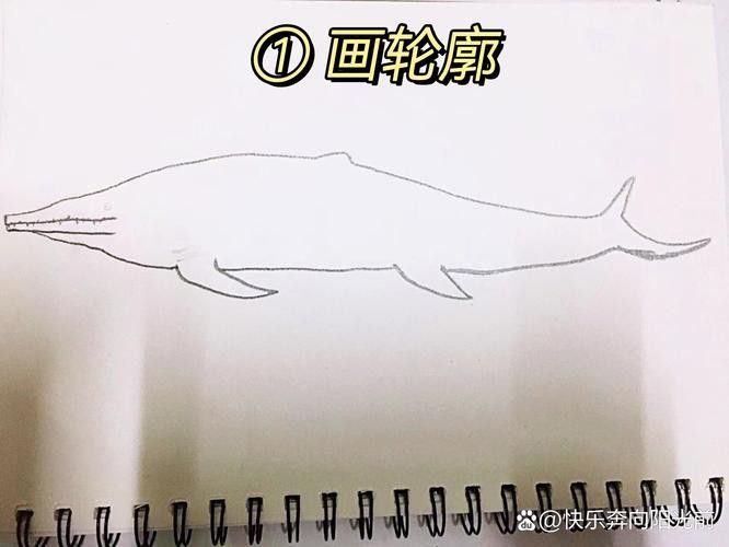 恐龍魚的圖片簡筆畫