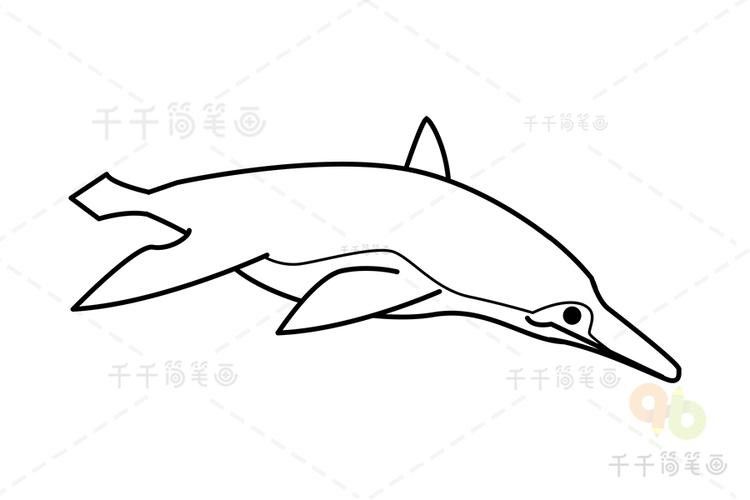 恐龍魚的圖片簡筆畫