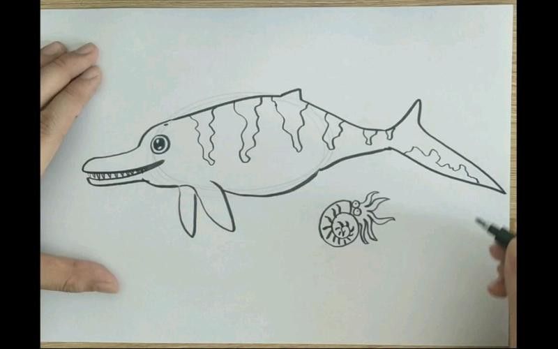 恐龍魚的圖片簡筆畫