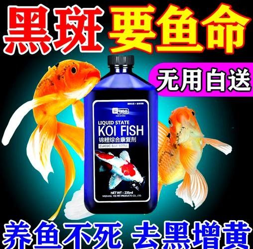 銀龍魚身上有黑點圖片 龍魚百科 第22張 銀龍魚身上有黑點圖片 銀龍魚身上有黑點圖片 龍魚百科 第22張