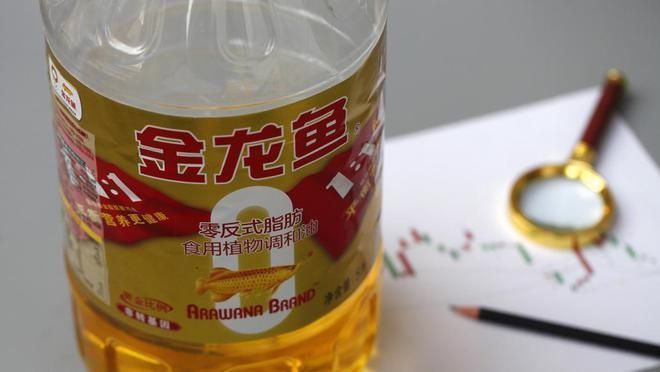 金龍魚貴的原因有哪些，金龍魚養殖技術難點