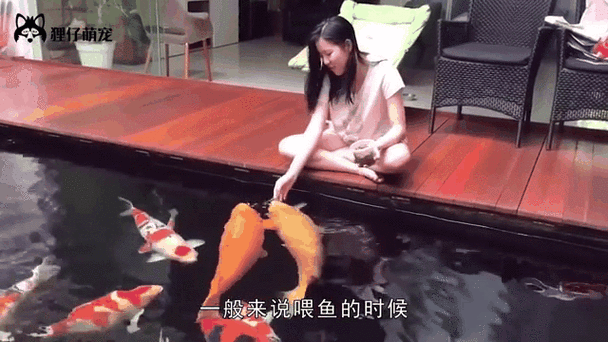 如何判斷金龍魚的營養是否充足？