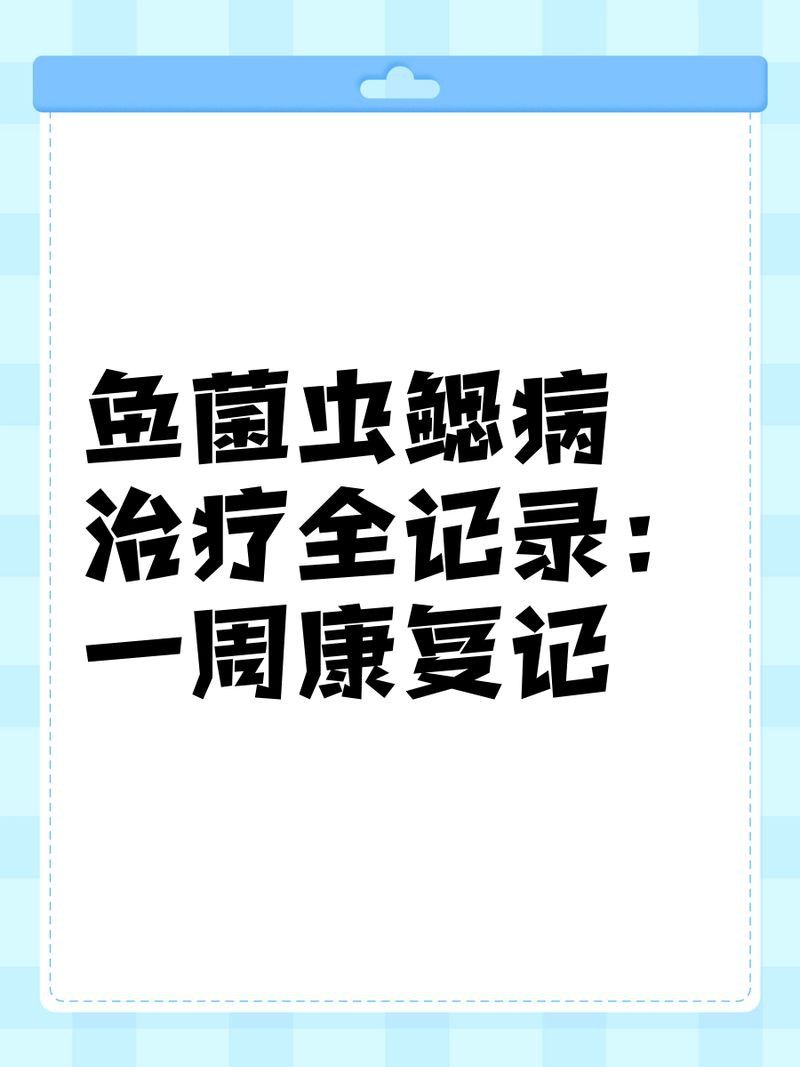 魚細菌感染怎么處理