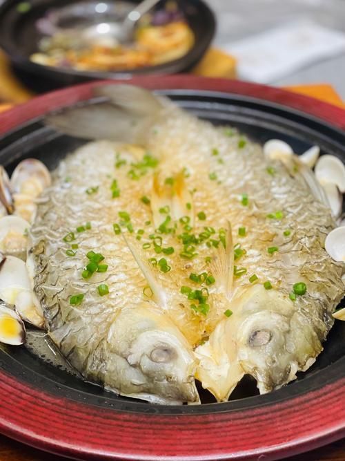 馬來忘不了魚圖片