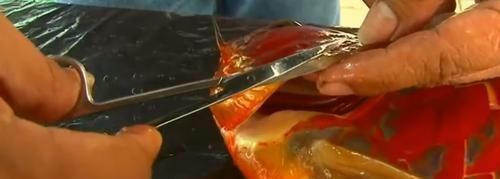 給金龍魚做手術怎么做的：給金龍魚做手術怎么做