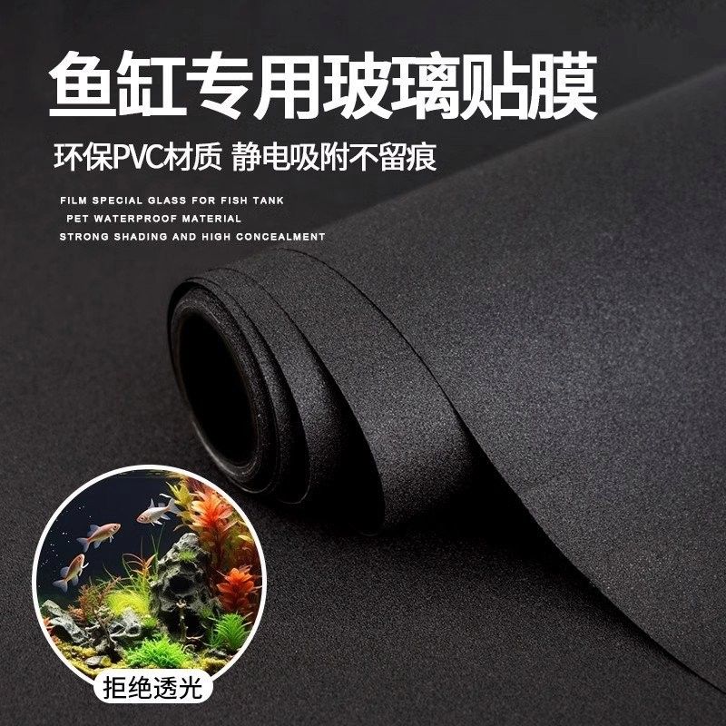 銀龍魚用什么顏色的背景帖紙畫