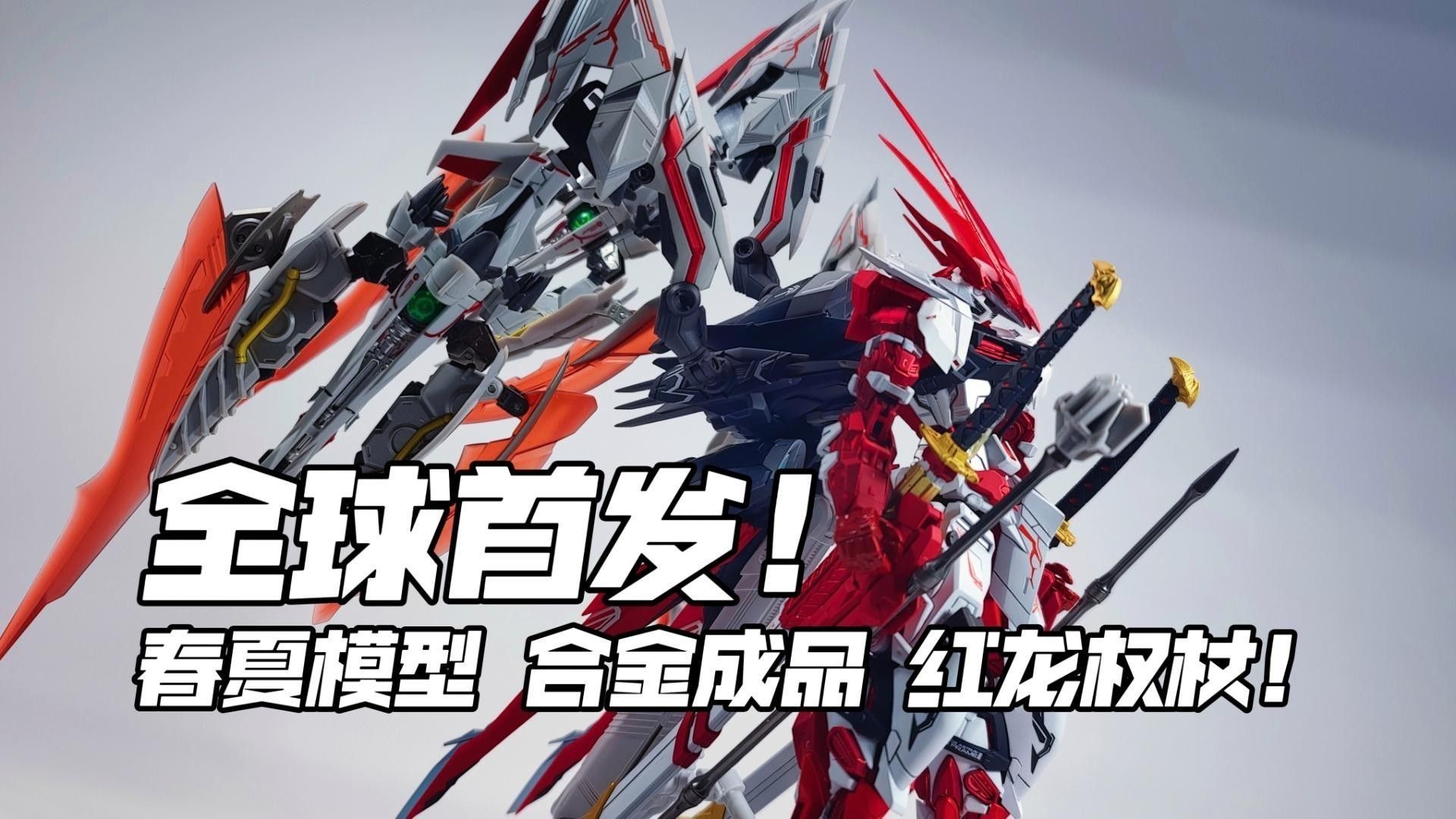 紅龍模型的市場價格走勢如何