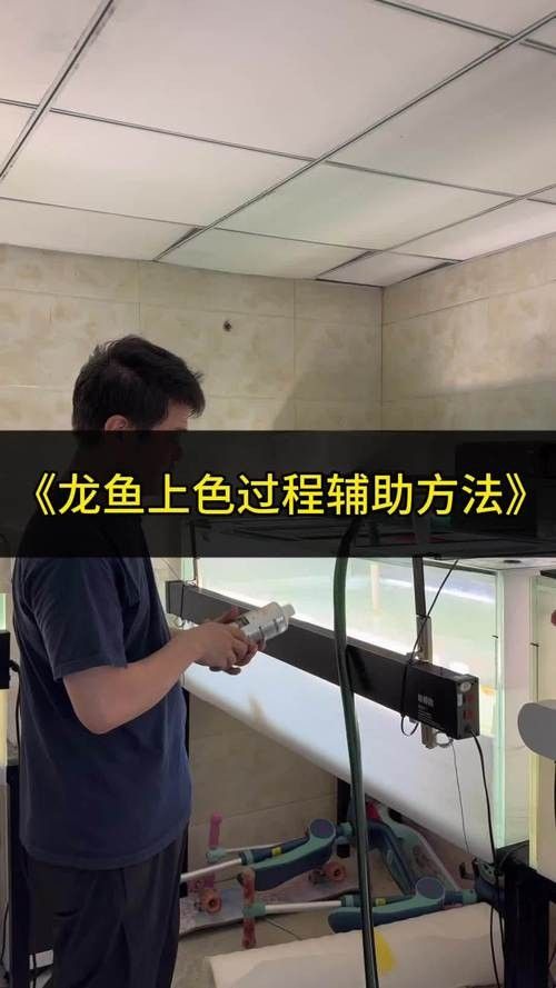 龍魚老是趴缸怎么辦啊圖片